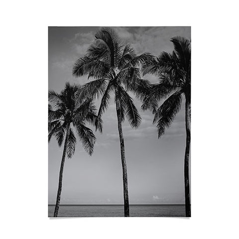 Bethany Young Photography Hawaiian Palms IV Poster