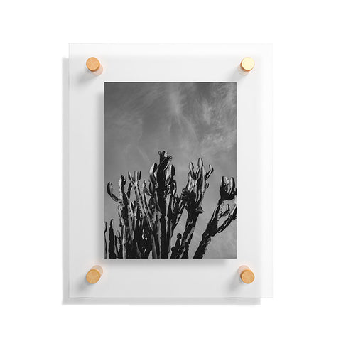 Bethany Young Photography Monochrome Cactus Sky Floating Acrylic Print