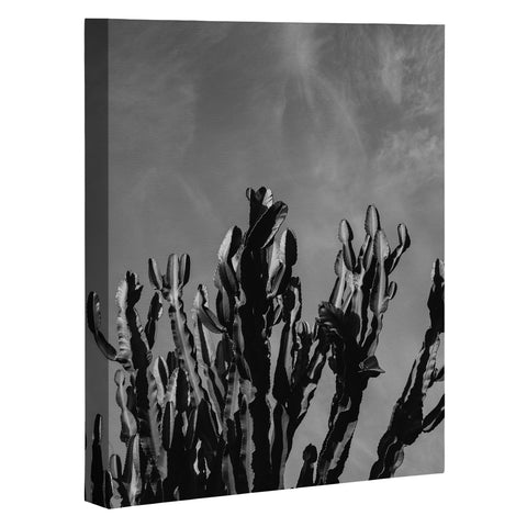 Bethany Young Photography Monochrome Cactus Sky Art Canvas