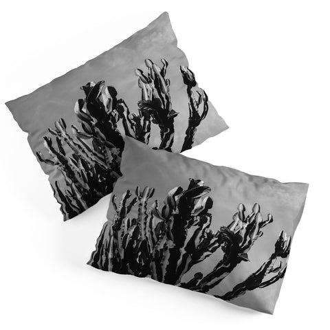 Bethany Young Photography Monochrome Cactus Sky Pillow Shams