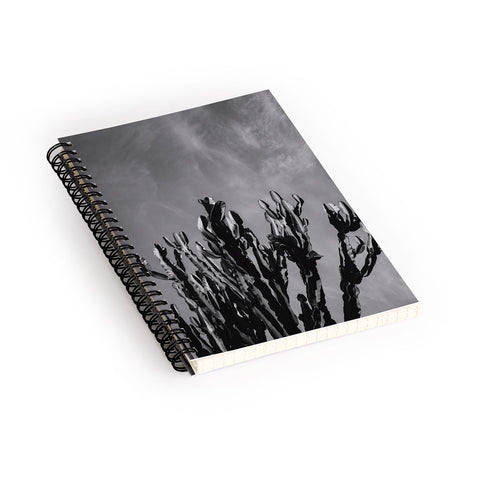 Bethany Young Photography Monochrome Cactus Sky Spiral Notebook