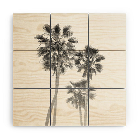 Bethany Young Photography Monochrome California Palms Wood Wall Mural