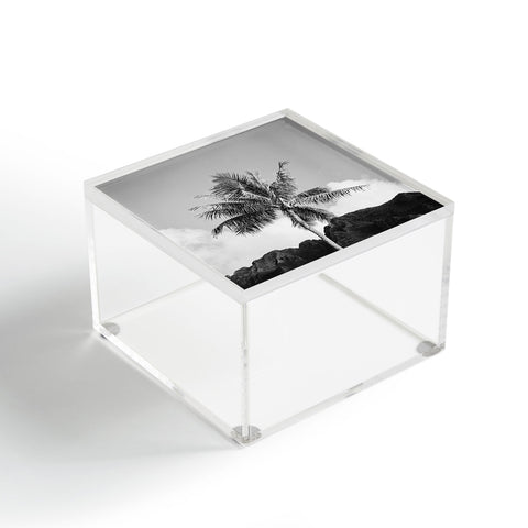 Bethany Young Photography Monochrome Hawaiian Palm Acrylic Box