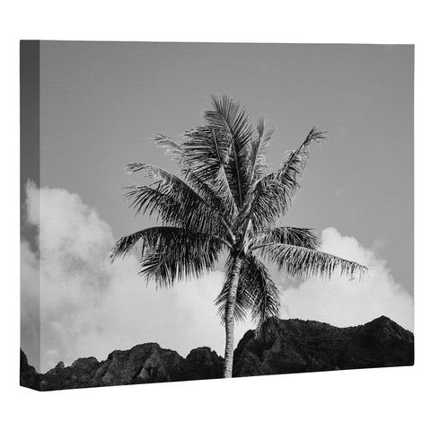 Bethany Young Photography Monochrome Hawaiian Palm Art Canvas