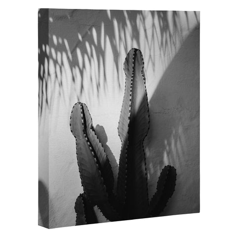 Bethany Young Photography Monochrome SoCal Shadows Art Canvas