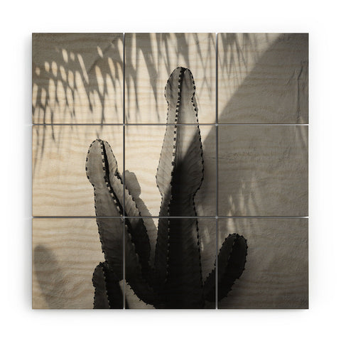 Bethany Young Photography Monochrome SoCal Shadows Wood Wall Mural