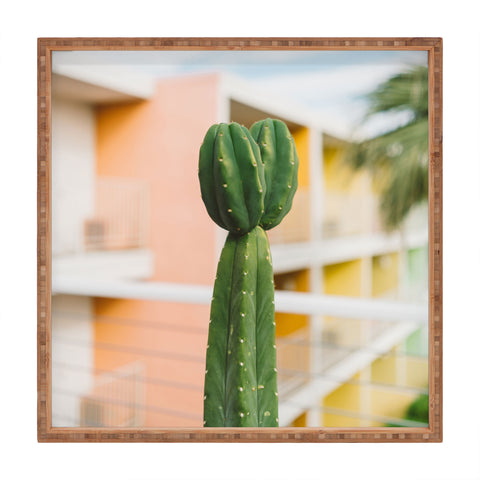Bethany Young Photography Palm Springs Cactus II Square Tray