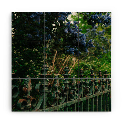 Bethany Young Photography Paris Garden V Wood Wall Mural