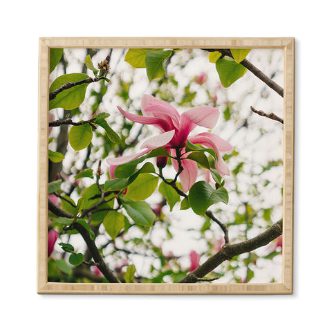 Bethany Young Photography Paris Garden VII Framed Wall Art