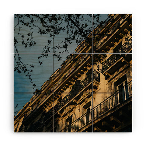 Bethany Young Photography Parisian Sunset IV Wood Wall Mural