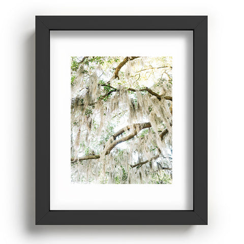 Bethany Young Photography Savannah Spanish Moss XIV Recessed Framing Rectangle