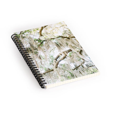 Bethany Young Photography Savannah Spanish Moss XIV Spiral Notebook