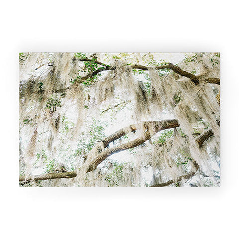 Bethany Young Photography Savannah Spanish Moss XIV Welcome Mat