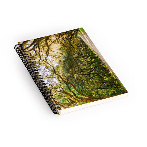 Bethany Young Photography Savannah Wormsloe Historic I Spiral Notebook
