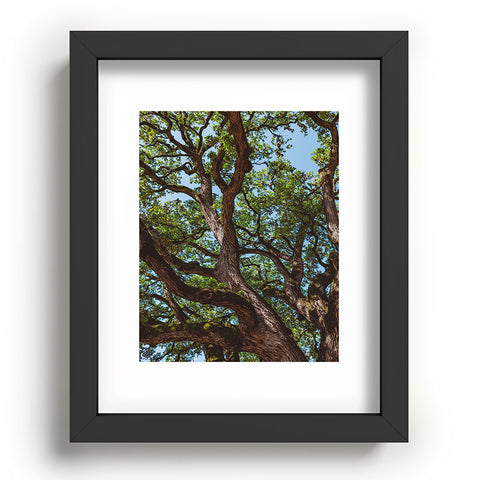 Bethany Young Photography Texas Cottonwood Recessed Framing Rectangle