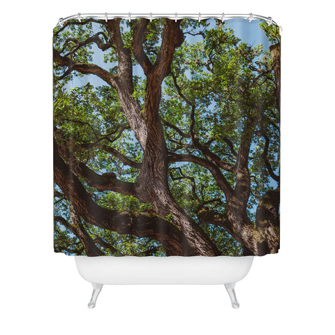 Bethany Young Photography Texas Cottonwood Shower Curtain