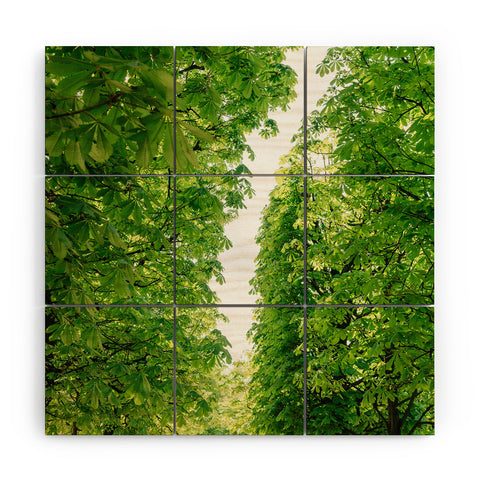 Bethany Young Photography Tuileries Garden IV Wood Wall Mural