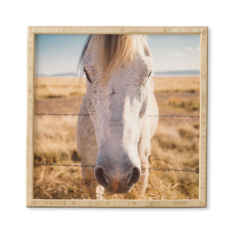 Bethany Young Photography West Texas Wild Framed Wall Art