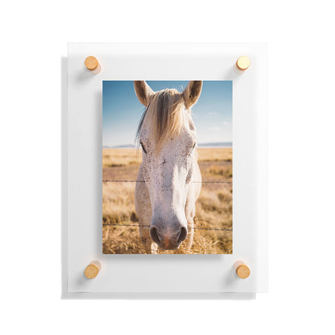 Bethany Young Photography West Texas Wild Floating Acrylic Print