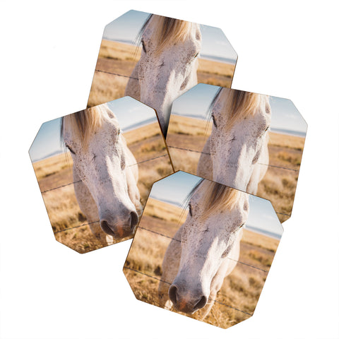 Bethany Young Photography West Texas Wild Coaster Set