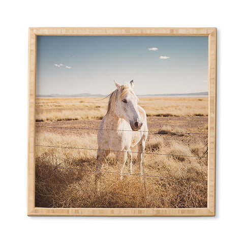 Bethany Young Photography West Texas Wild II Framed Wall Art