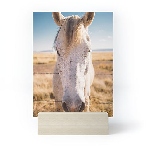 Bethany Young Photography West Texas Wild Mini Art Print