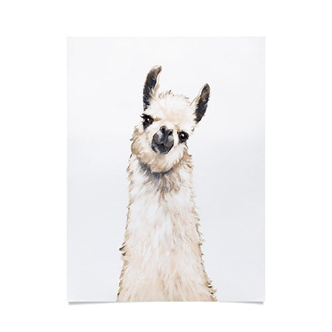Big Nose Work Llama Portrait Poster
