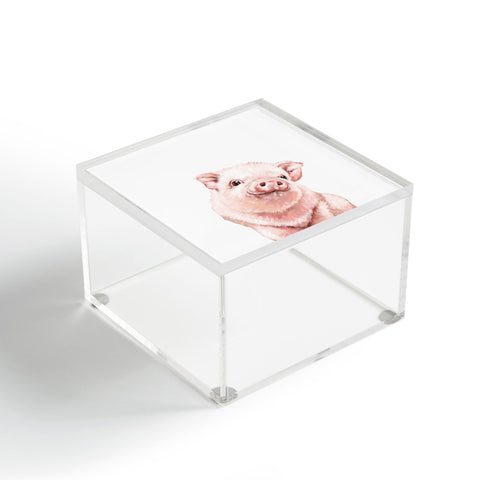 Big Nose Work Pink Baby Pig Acrylic Box