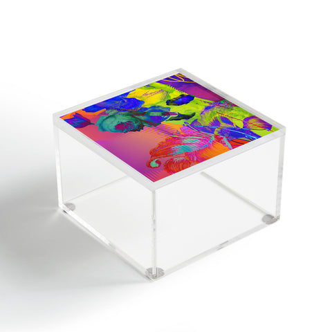 Biljana Kroll Neon Night Acrylic Box
