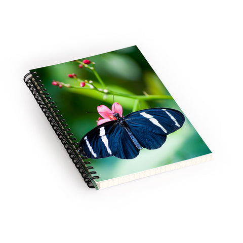 Bird Wanna Whistle Black Butterfly Spiral Notebook