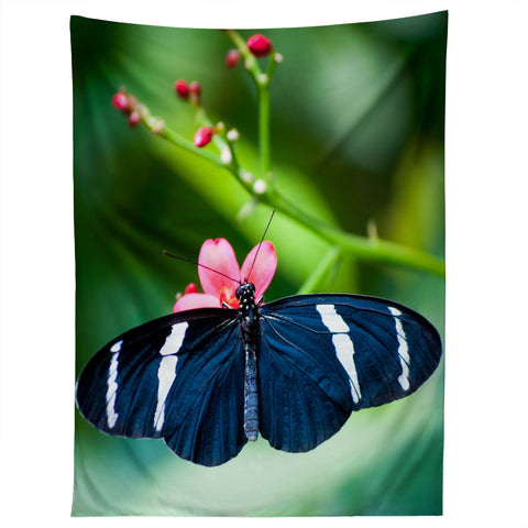 Bird Wanna Whistle Black Butterfly Tapestry