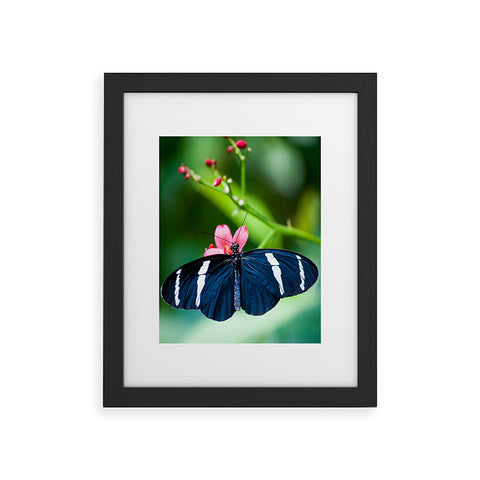 Bird Wanna Whistle Black Butterfly Framed Art Print