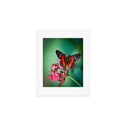 Bird Wanna Whistle Butterfly Art Print