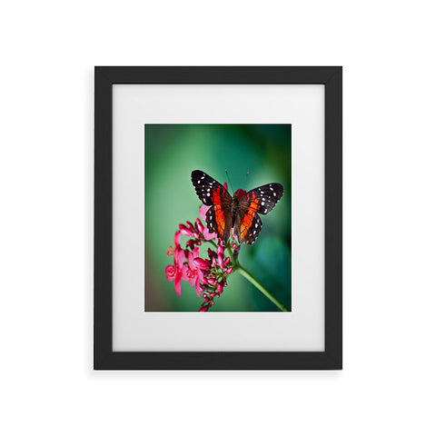 Bird Wanna Whistle Butterfly Framed Art Print
