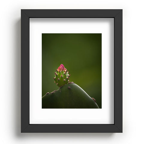 Bird Wanna Whistle Cactus Recessed Framing Rectangle