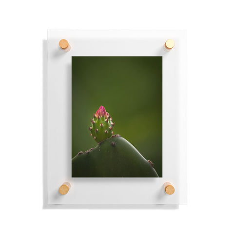 Bird Wanna Whistle Cactus Floating Acrylic Print