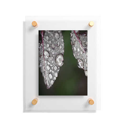 Bird Wanna Whistle Cultivate Floating Acrylic Print