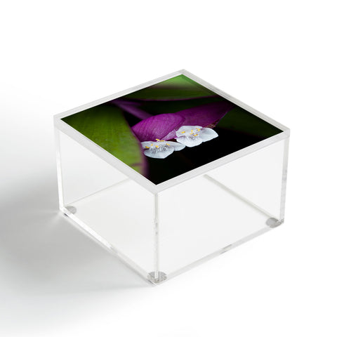 Bird Wanna Whistle Flower1 Acrylic Box