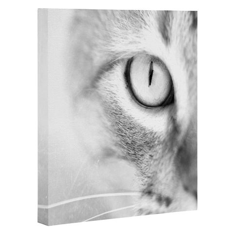Bree Madden Cats Eye Art Canvas