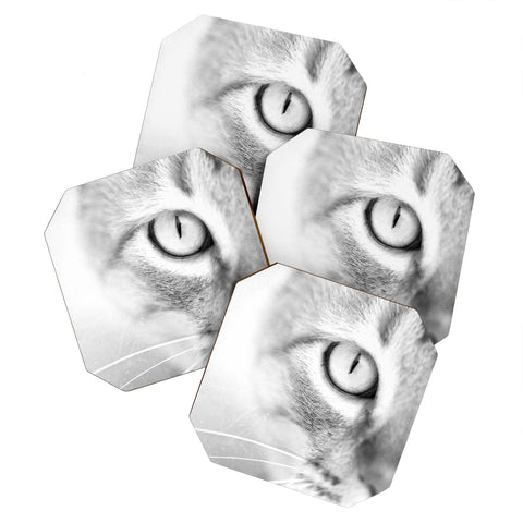 Bree Madden Cats Eye Coaster Set