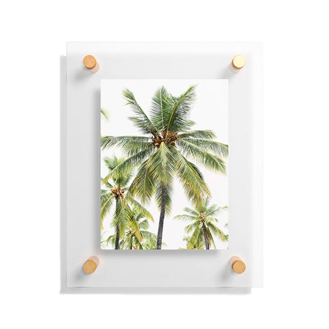 Bree Madden Coconut Palms Floating Acrylic Print