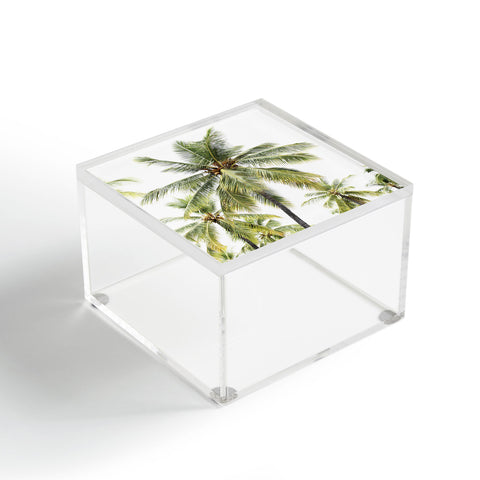 Bree Madden Coconut Palms Acrylic Box