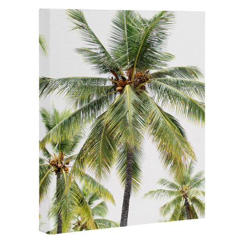 Bree Madden Coconut Palms Art Canvas