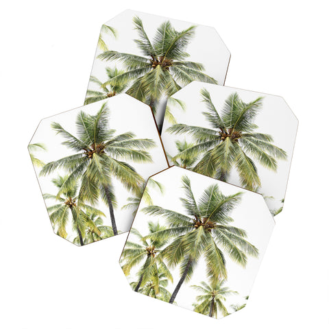Bree Madden Coconut Palms Coaster Set