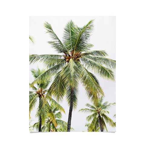Bree Madden Coconut Palms Poster