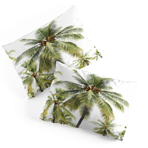 Bree Madden Coconut Palms Pillow Shams