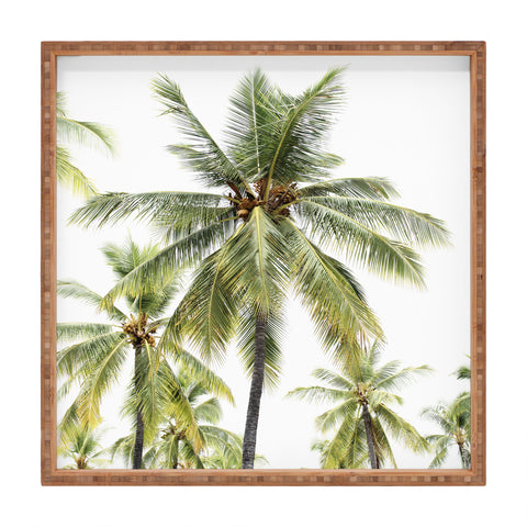 Bree Madden Coconut Palms Square Tray