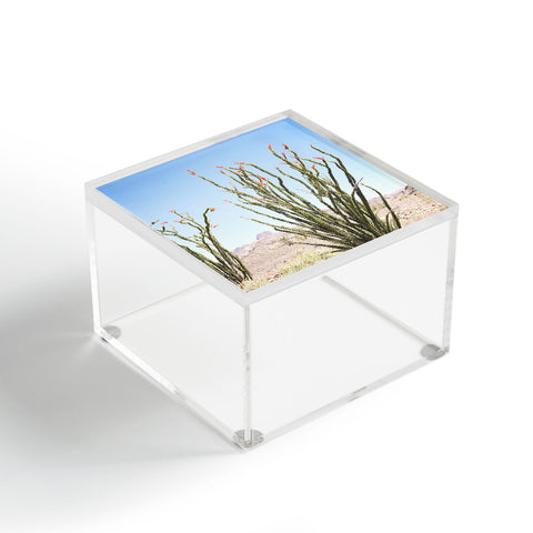 Bree Madden Desert Flower Acrylic Box