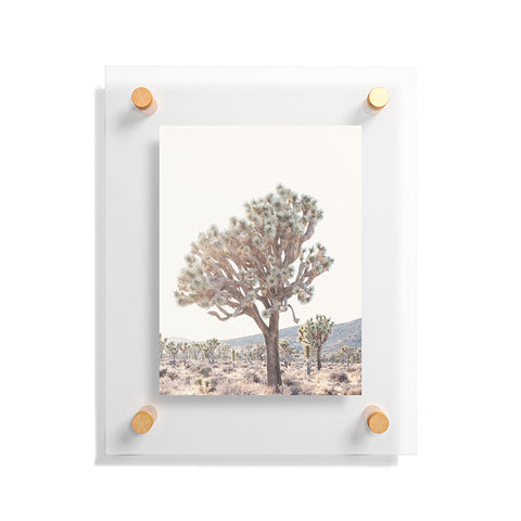 Bree Madden Desert Light Floating Acrylic Print