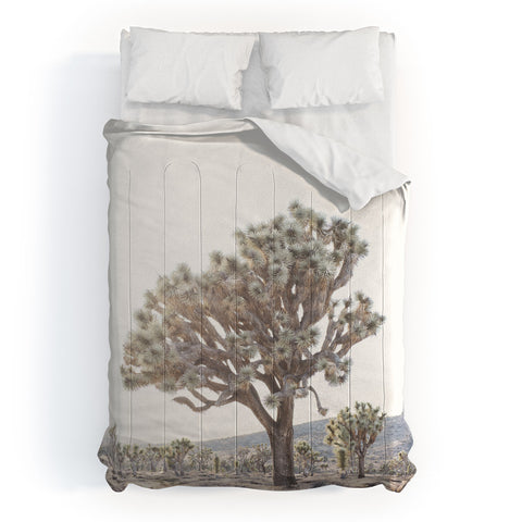 Bree Madden Desert Light Comforter